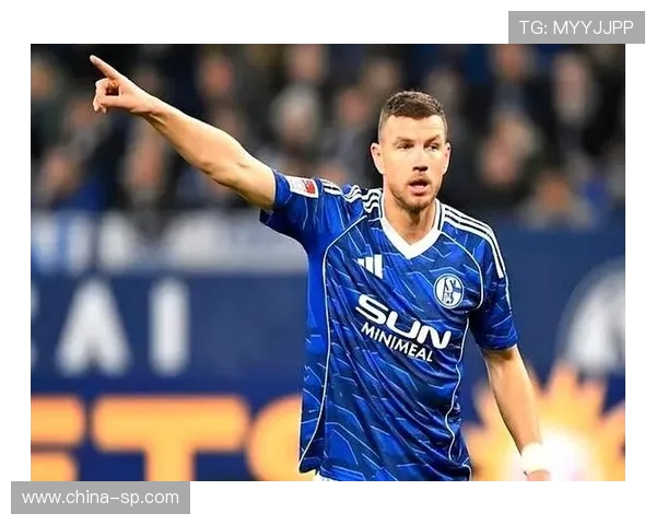 沙尔克旧将建议续约哲科助力德甲